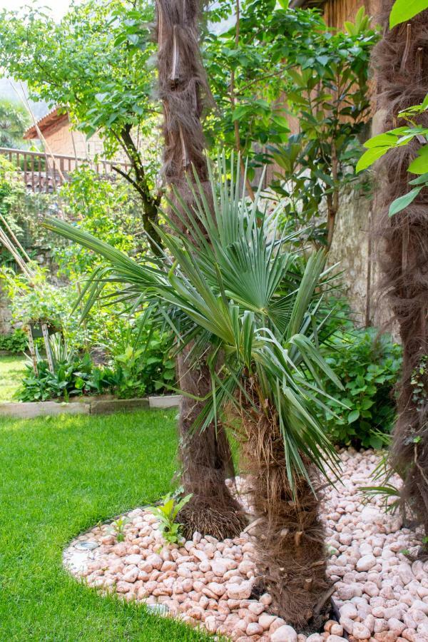 Residenza Romantica Riva del Garda Ngoại thất bức ảnh
